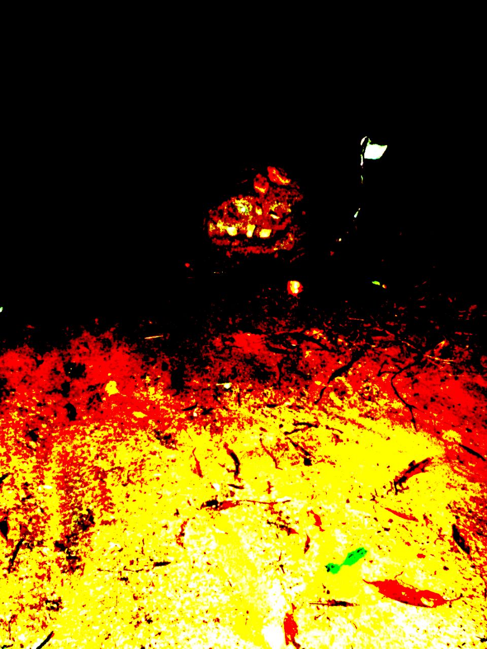 Ride this trail when vulnerable and the guardian will make you pay with fire